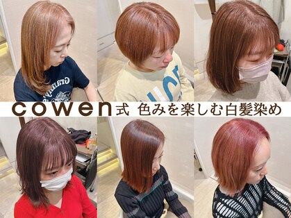 コーエン(cowen)の写真