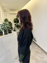 フェーディン(fa/din)&nbsp;レッドブラウン