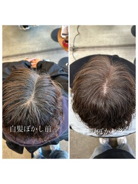 シエル(Ciel by Natural) 白髪/白髪ぼかし/ハイライト