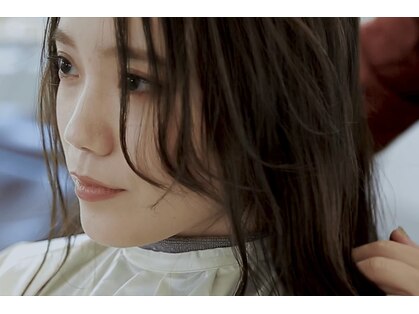 フィル(fil)の写真