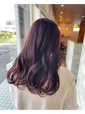 ピンクラベンダー
