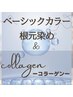【白髪/根元3cm以内】ベーシックカラー＆コラーゲン