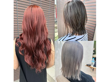 ネモス(nemos)の写真