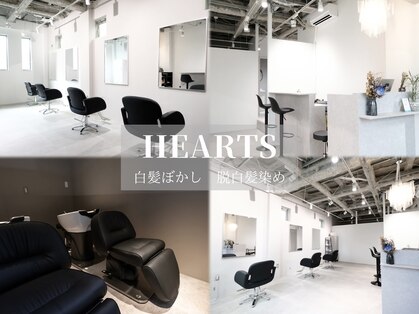 ハーツ 船橋(HEARTS)の写真