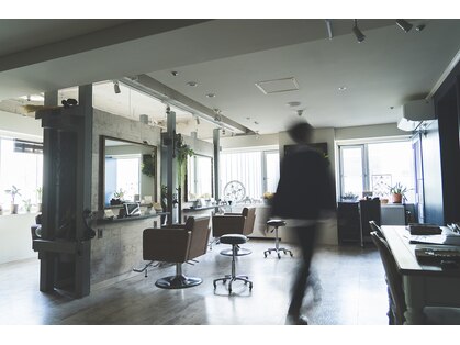 ルスキニア(Luscinia)の写真