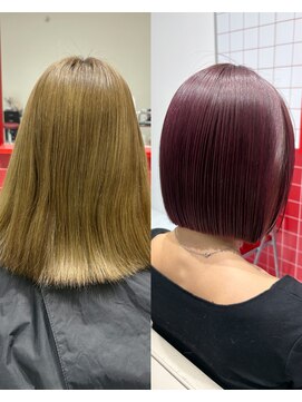 ボルドー×ボブ