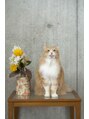 エルムバイエント(elm by emt) 猫と暮らしています。#上北沢美容室 #顔周りカット
