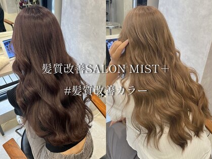 ミストプラス(MIST+)の写真