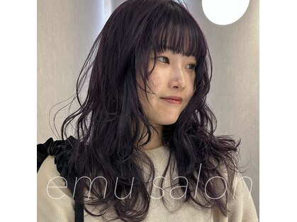 エムサロン 元総社(emusalon)の写真