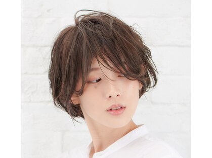 ハコ(H.A.Co)の写真