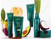 AVEDAとは