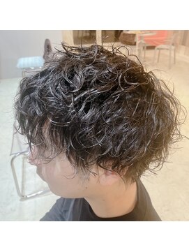 ジア ヘアグリージア(ZIA-hair Grigia-) ツイストマッシュ