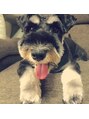 ファボリア(favoria)&nbsp;愛犬のたわら。通称たわちゃん