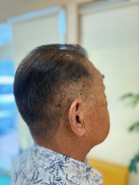 ミノル(MINORU) 白髪ぼかしヘアカラー