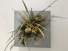 ●たくさんのドライフラワー・植物●