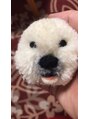 ダリー 新さっぽろ店(Dali)&nbsp;動物ポンポン作り始めました