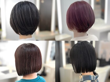 リズ(Reis)の写真