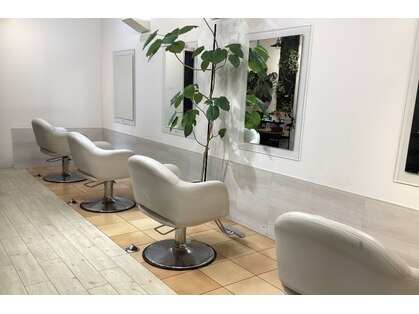 エス Sスタイルの写真