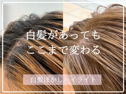 コンフィープラス(comfy plus)の写真
