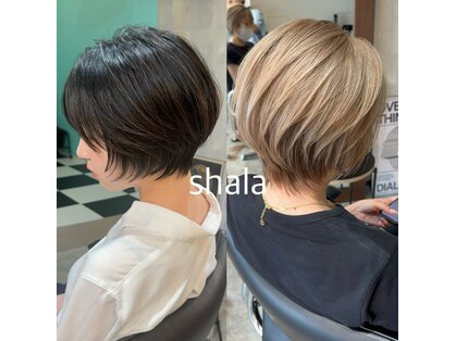 シャラ(Shala)の写真