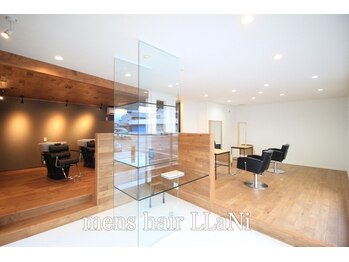 mens hair LLaNi