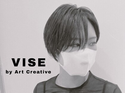 ビセ(VISE)の写真