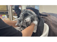 アット(at)の雰囲気（移動式シャンプー台で楽々極上スパ♪）