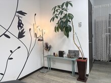 シャンプー中も飽きない内装