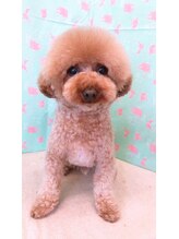 サロンドオリーブ(Salon du Olive) 上原