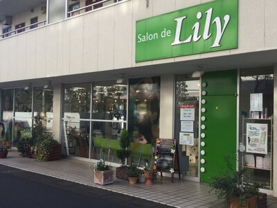 白と緑を基調とした明るい店内