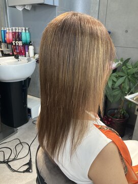 ヴィオラスバイポッシュ ギンザ(Violus by Posh GINZA) ブリーチ矯正by髪質改善