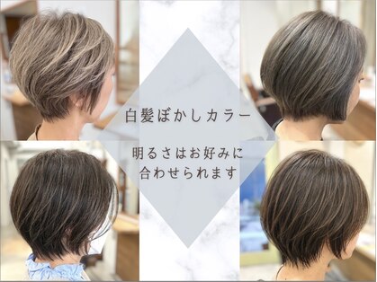 ティーシースペース 元住吉店(T.C.SPACE)の写真