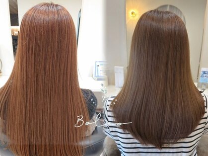 ボレロ(Bolero)の写真