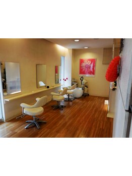 [大型店が苦手な方に◎]自分に似合う”かわいい”を見つけたいなら隠れ家風サロン【Sero】★