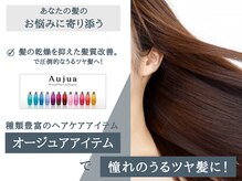 ソーホープレミアム(SOHOpremium)の雰囲気（Aujua【オージュア】取り扱い店舗です。【白髪染め/ケアカラー】）