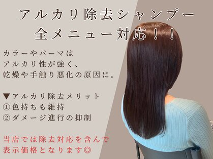 リブ(lib)の写真