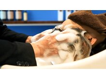 ジョワ ド ヴィーヴル(Joie de Vivre)