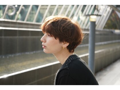 シアラ(ciala)の写真