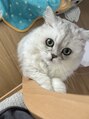 ユニックス ららぽーと湘南平塚店(UNIX) 実家で猫を飼っています!猫好きの方、ぜひお話しましょう☆