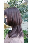 《HAIRZ》藤井☆ヒメカットパープルカラー