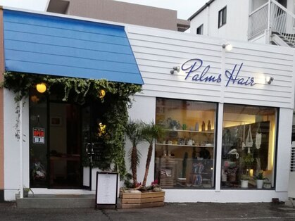 Palms Hair【パームスヘアー】【10月31日NEW OPEN(予定)】の写真