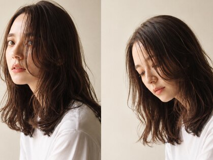 ベター(better)の写真
