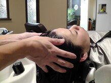 シェディーヘア(Sheady hair)