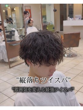 ディータ(Dita) 縦落ちツイスパ/ツイストスパイラル／マッシュ／