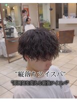 ディータ(Dita) 縦落ちツイスパ/ツイストスパイラル/マッシュ/