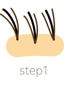 ラソヘアー(Lazo hair) 繊細な箇所に最適な増毛エクステ