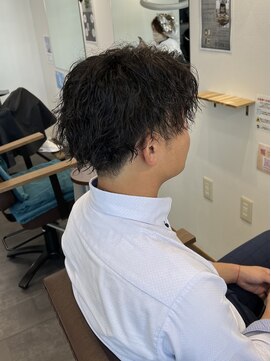 エルパライソ リフォ(Elparaiso Reff) ツイストスパイラル(ツイスト強め/スパイラル弱め)