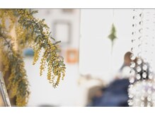 ファンタシー(FANTACY)の雰囲気（新規のご予約は人数を限定しています。お早めに☆）