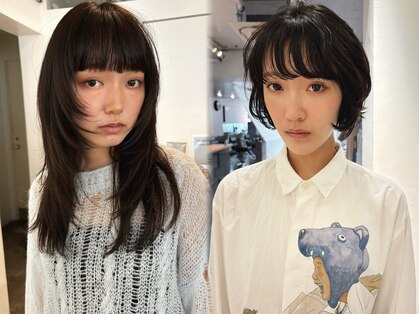マカロニコースト(macaroni coast)の写真