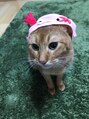 ハツメイ 京急川崎店(HATSUMEI) 我が家の愛猫「ダル」くん。毎日癒されています！